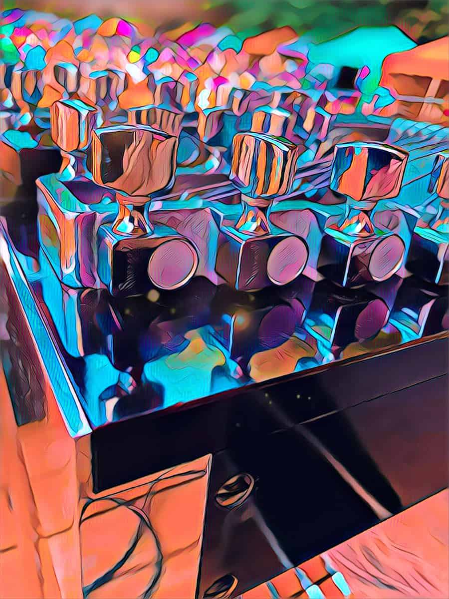 9 Best Pedal Steel Guitars (That Sound AMAZING)